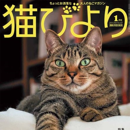 猫びより vol.127 (発売日2022年12月12日)